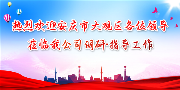 安慶市大觀區(qū)領導蒞臨我公司調(diào)研工作，為發(fā)展注入新動力